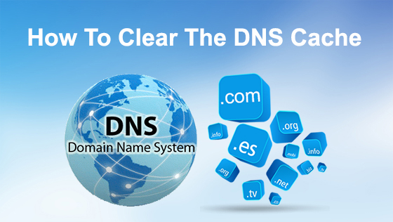 How to clear DNS Cache