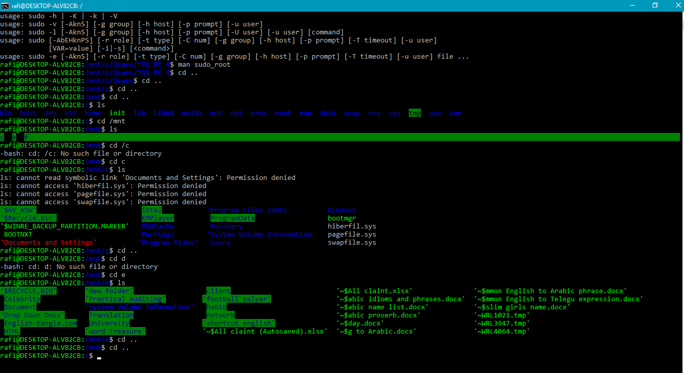 windows terminal bash shell