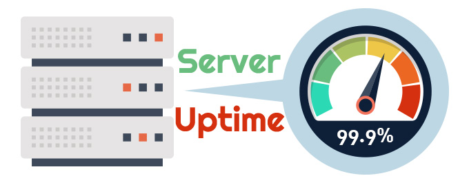 Server Uptime