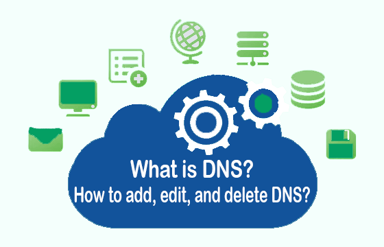 What is DNS? How to add, edit, and delete DNS? (Reseller Part-8)