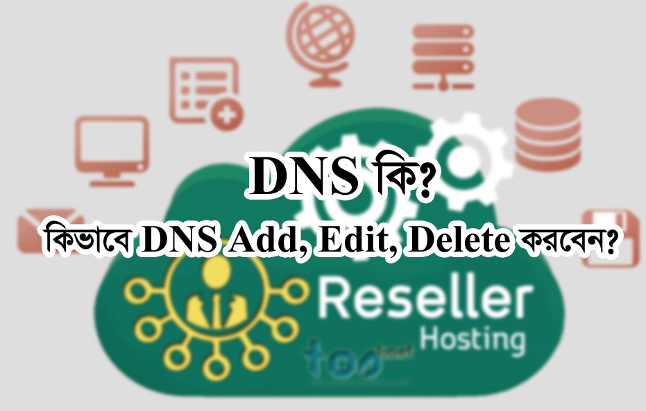 DNS কি? কিভাবে DNS Add, Edit, Delete করবেন? (রিসেলার ওয়েব হোস্টিং পর্ব-৮)
