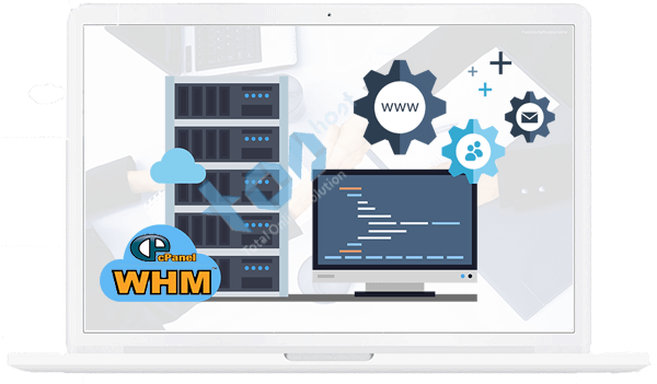 Best Premium Reseller Hosting With Cpanel Toshost Ltd Images, Photos, Reviews